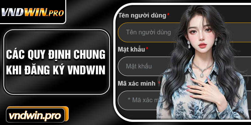 Các Quy Định Chung Khi Đăng Ký VNDWIN