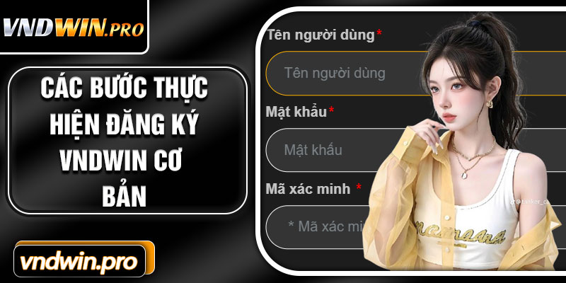 Các Thao Tác Thực Hiện Đăng Ký VNDWIN Cơ Bản