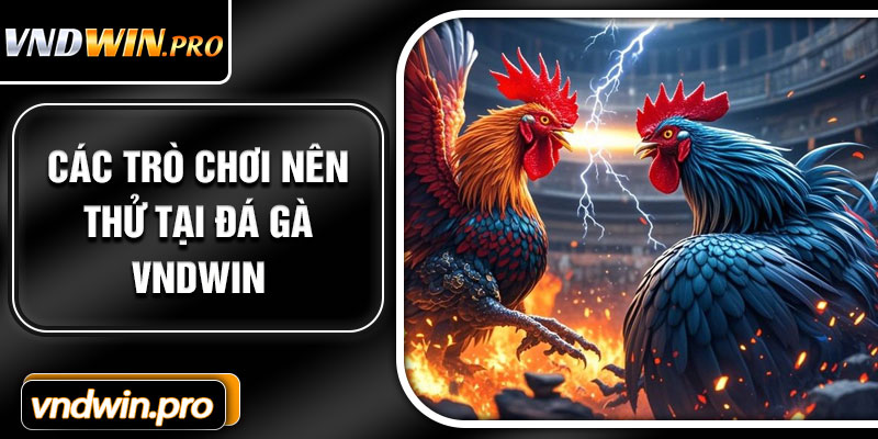 Các Trò Chơi Nên Thử Tại Đá Gà VNDWIN