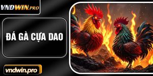 Da Ga Cua Dao