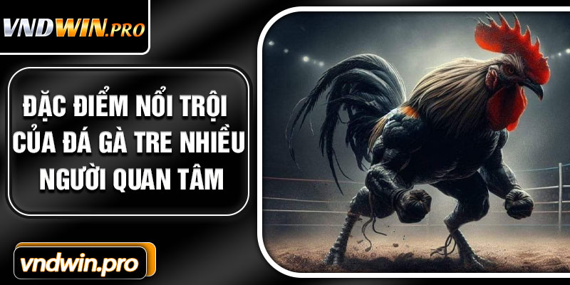 Đặc điểm nổi trội của đá gà tre nhiều người quan tâm