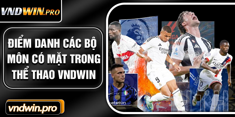 Điểm Danh Các Bộ Môn Có Mặt Trong Thể Thao VNDWIN