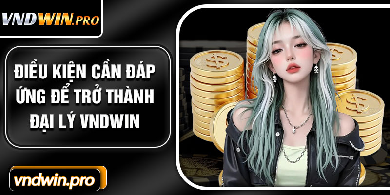 Điều Kiện Cần Đáp Ứng Để Trở Thành Đại Lý VNDWIN