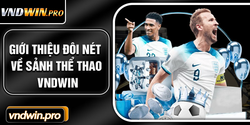 Giới Thiệu Đôi Nét Về Sảnh Thể Thao VNDWIN