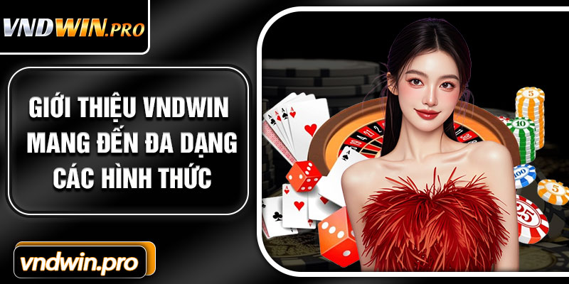 Giới Thiệu VNDWIN Mang Đến Đa Dạng Các Hình Thức 