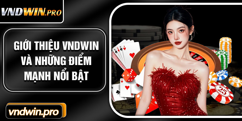 Giới Thiệu VNDWIN Và Những Điểm Mạnh Nổi Bật