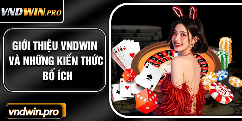 Giới Thiệu VNDWIN Và Những Kiến Thức Bổ Ích