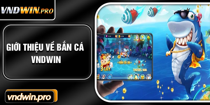Giới Thiệu Về Bắn Cá VNDWIN