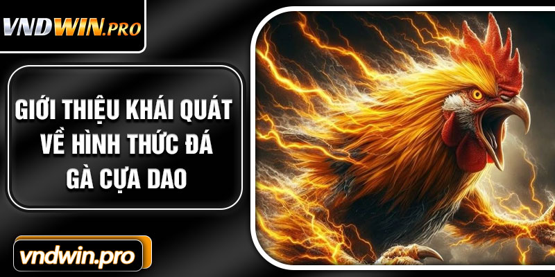 Giới thiệu khái quát về hình thức đá gà cựa dao