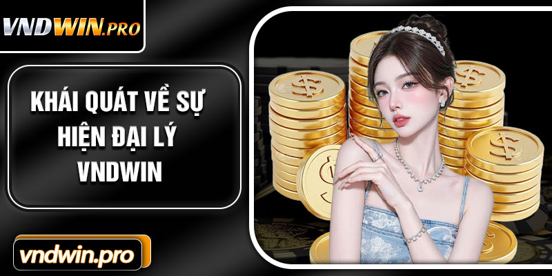 Khái Quát Về Sự Hiện Đại Lý VNDWIN