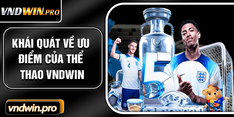 Khái Quát Về Ưu Điểm Của Thể Thao VNDWIN