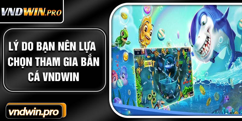 Lý Do Bạn Nên Lựa Chọn Tham Gia Bắn Cá VNDWIN