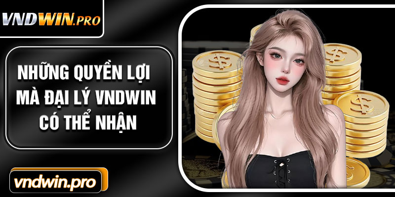 Những Quyền Lợi Mà Đại Lý VNDWIN Có Thể Nhận