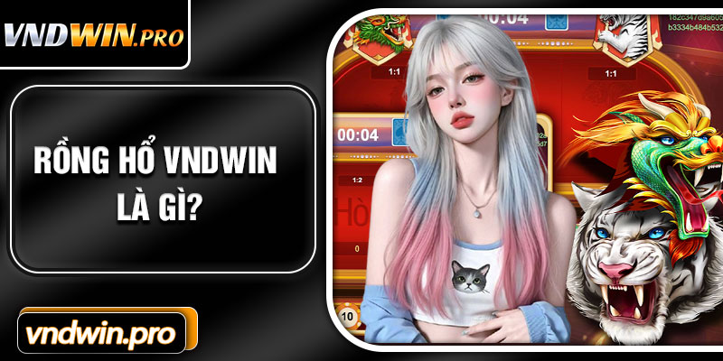Rồng Hổ VNDWIN Là Gì?