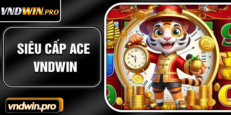 Sieu Cap Ace VNDWIN