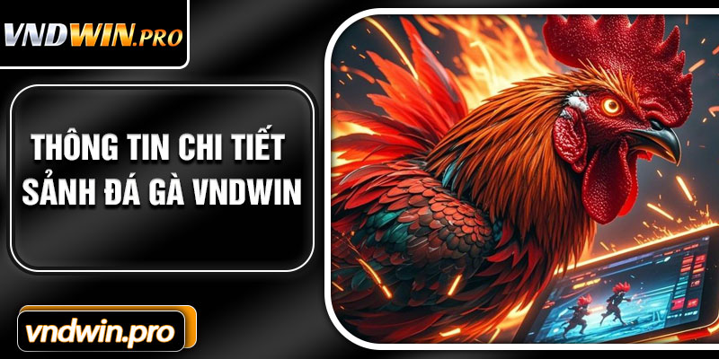 Thông Tin Chi Tiết Sảnh Đá Gà VNDWIN