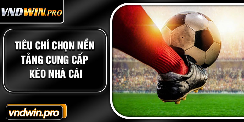 Tiêu Chí Chọn Nền Tảng Cung Cấp Kèo Nhà Cái