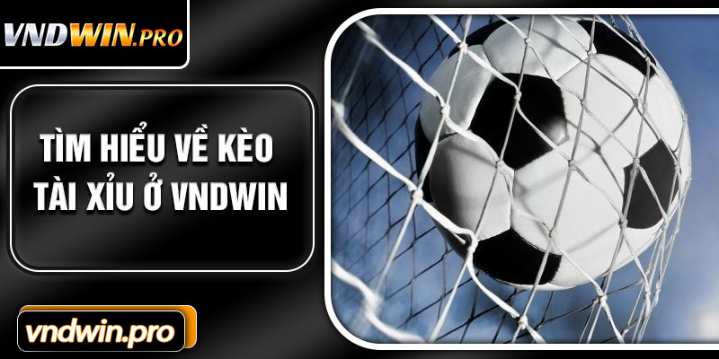 Tìm Hiểu Về Kèo Tài Xỉu Ở VNDWIN