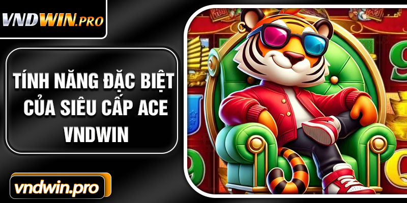 Tính năng đặc biệt của Siêu Cấp Ace VNDWIN