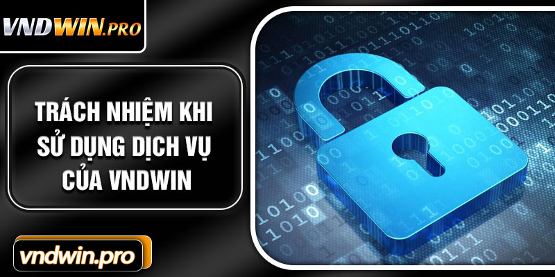 Trách Nhiệm Khi Sử Dụng Dịch Vụ Của VNDWIN