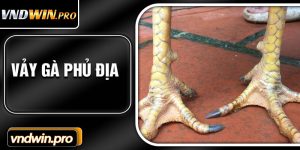 Vay Ga Phu Dia