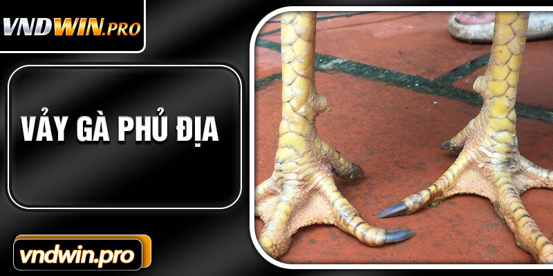 Vay Ga Phu Dia