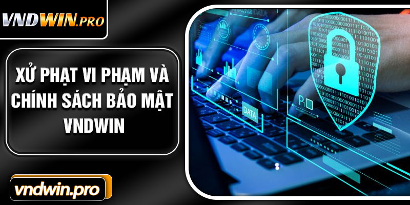 Xử Phạt Vi Phạm Và Chính Sách Bảo Mật VNDWIN